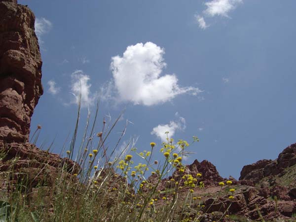 سولی دره